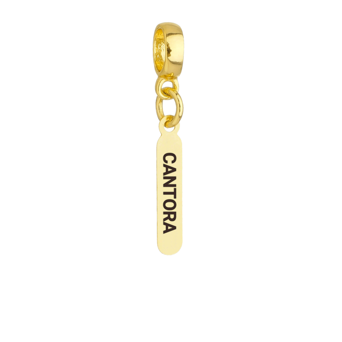 Berloque Plaquinha Cantora Banhado a Ouro 18k