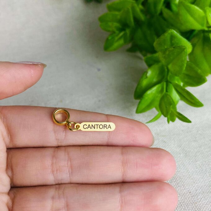 Berloque Plaquinha Cantora Banhado a Ouro 18k