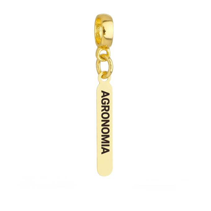Berloque Plaquinha Agronomia Banhado a Ouro 18k