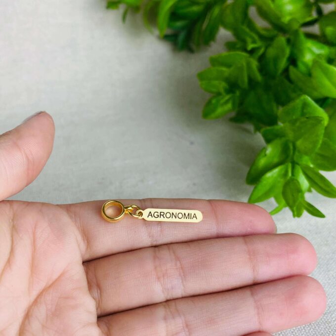 Berloque Plaquinha Agronomia Banhado a Ouro 18k