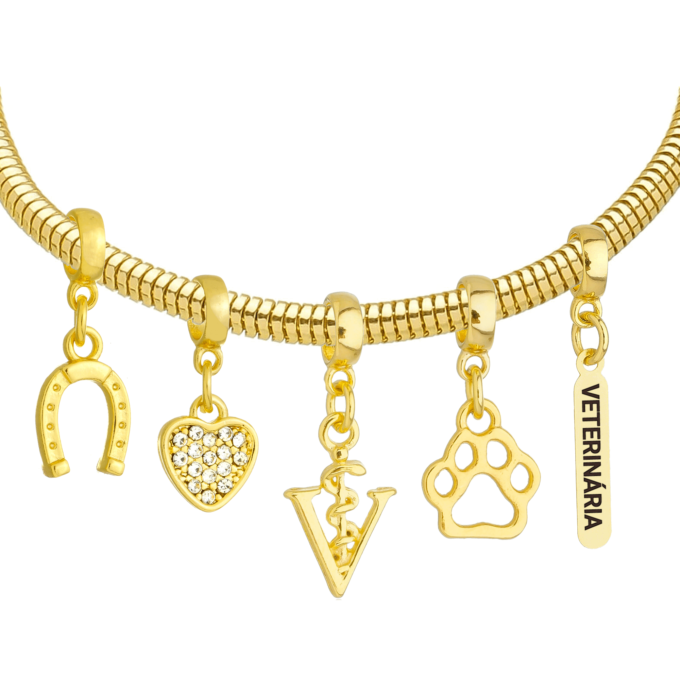 Pulseira Feminina Profissão Veterinária Banhado a Ouro 18k