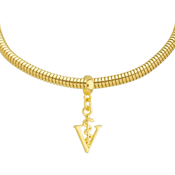 Pulseira Feminina Profissão Veterinária Banhado a Ouro 18k