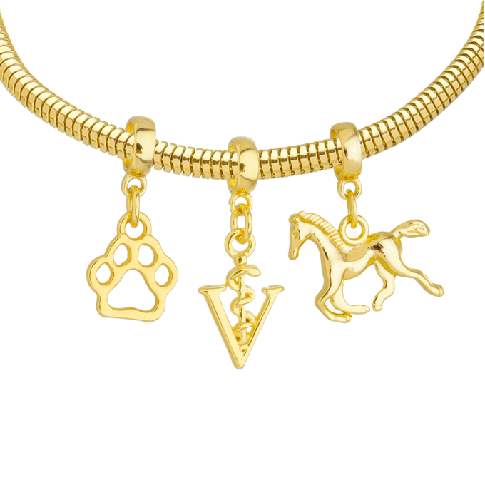 Pulseira Veterinária Berloque Banhado a Ouro 18k