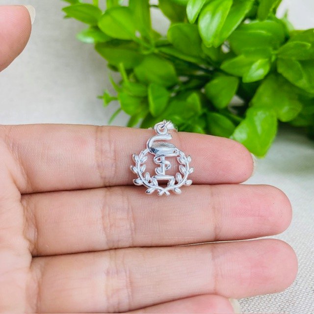 Berloque Profissão Farmácia Banhado a Prata 925