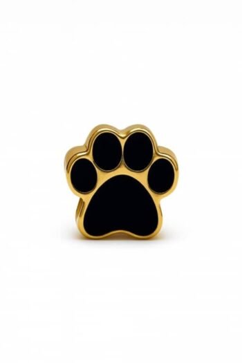 Berloque Pata de Cachorro Separador Banhado a Ouro 18k