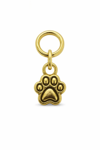 Berloque Patinha de Cachorro Gato Banhado a Ouro 18k